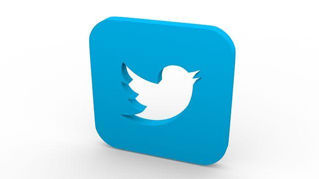 Twitter’s New ‘Twitter for Bird Watchers’ 